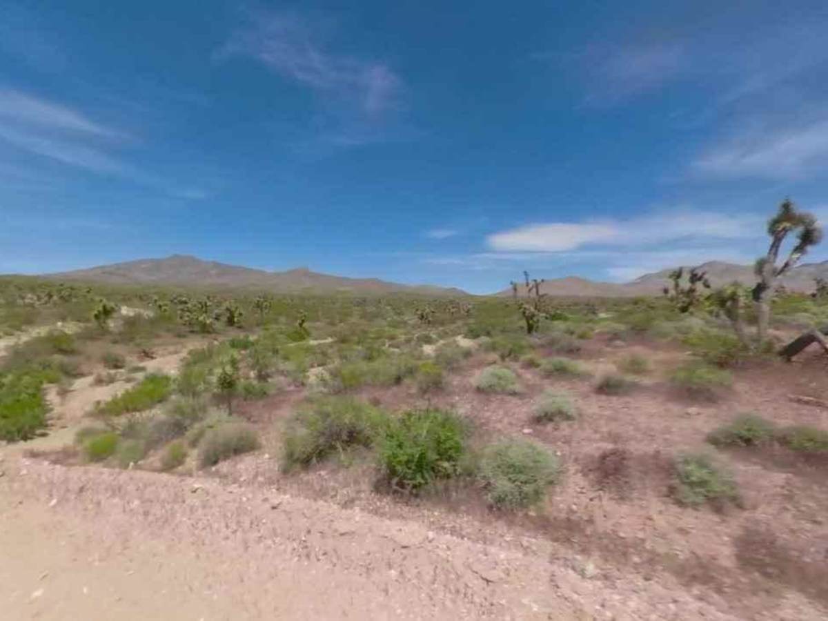 BLM30091 photo 3
