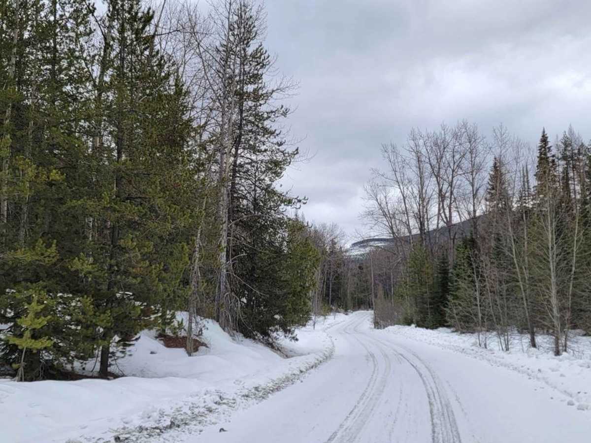 Yahk To Canuck Creek Rec Site photo 5