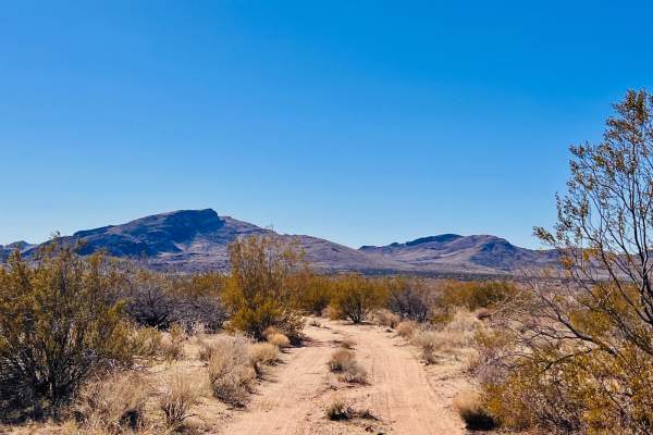 Sacramento Wash Trail