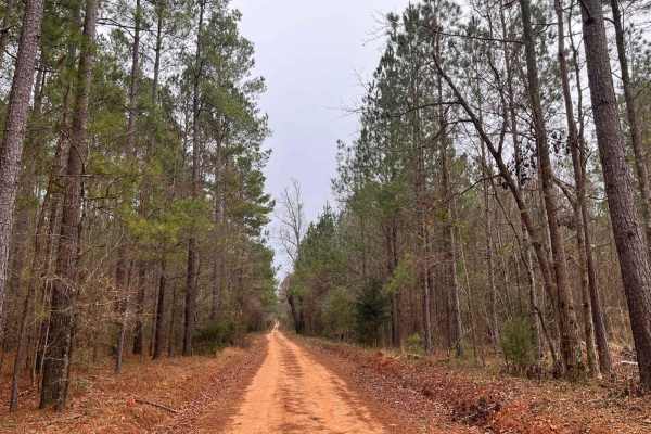 Rugged Hill Drive