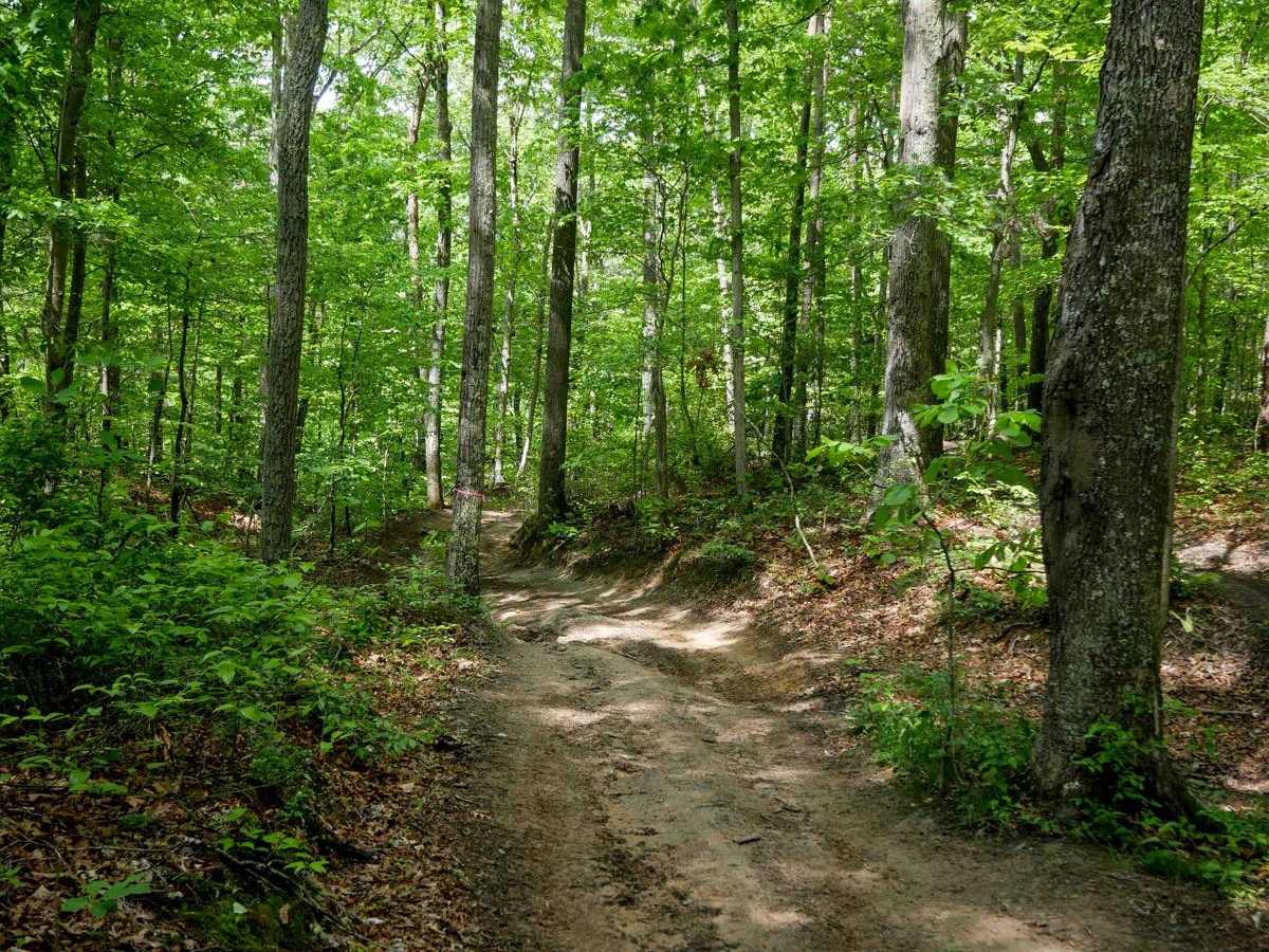 Trail 18 Crossover Section photo 5
