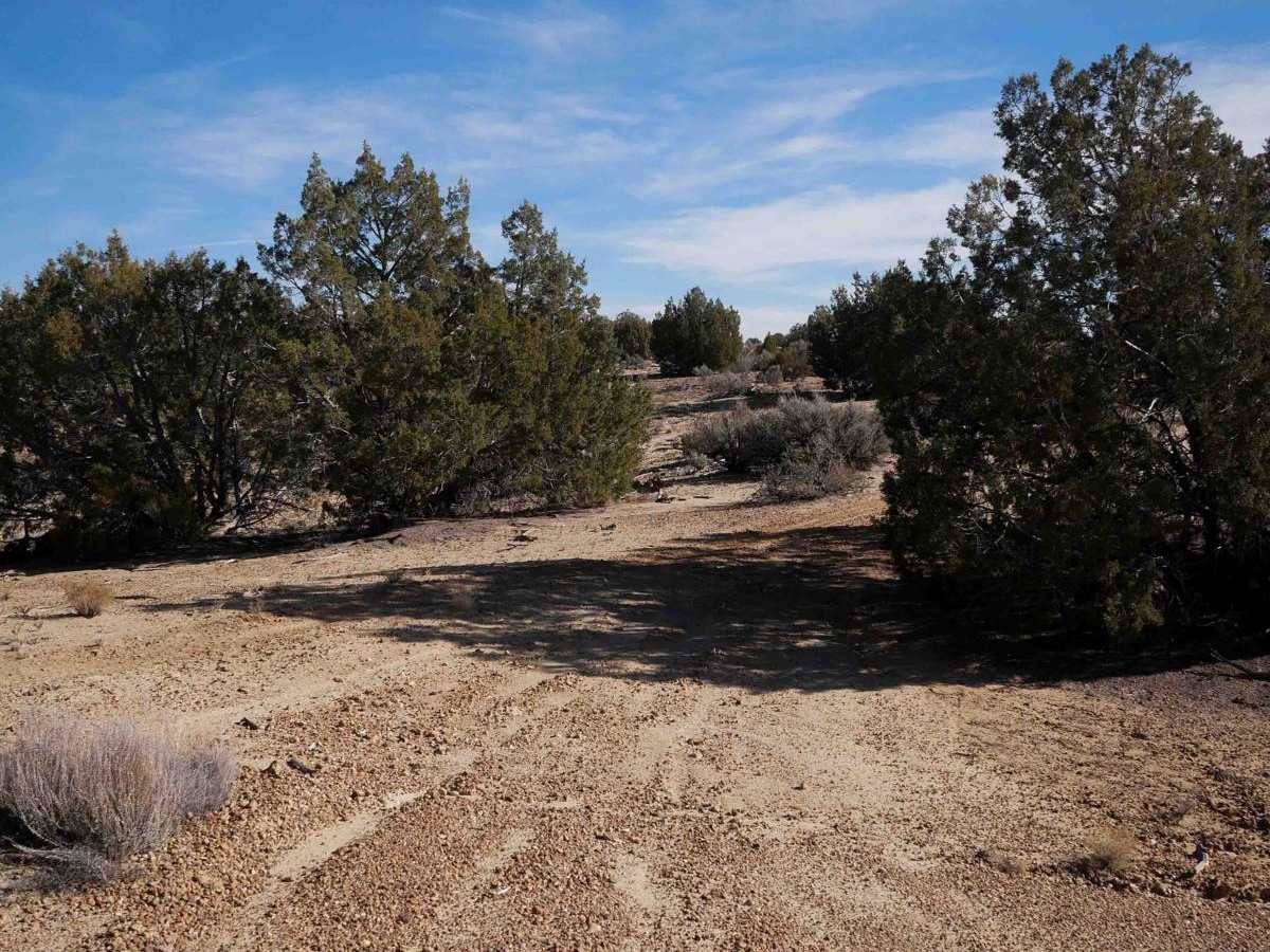 ATV Loop photo 5
