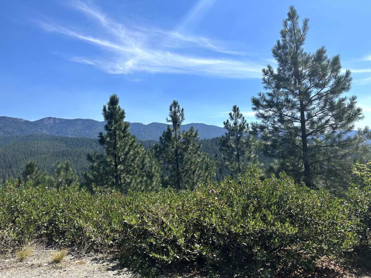 Meadow Ridge Trail photo 4