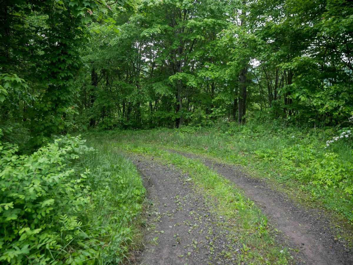 J41 trail photo
