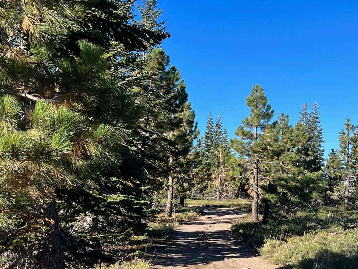 Pinecrest Peak photo 2
