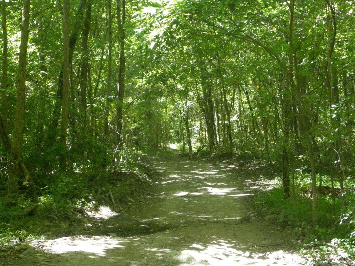 Trail 2E(intermediate) photo 5