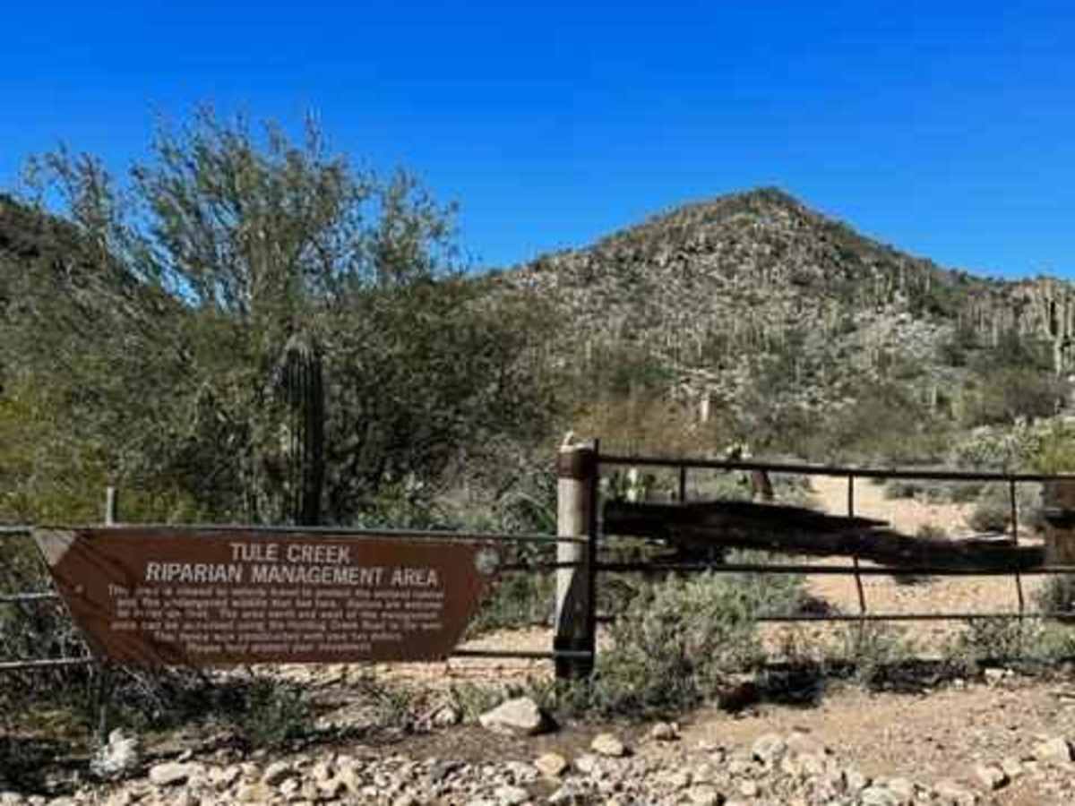 China Dam/Tule Homestead photo 5