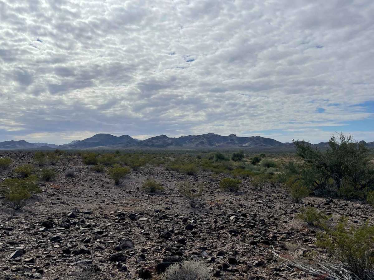 Coyote Mine Road photo 6