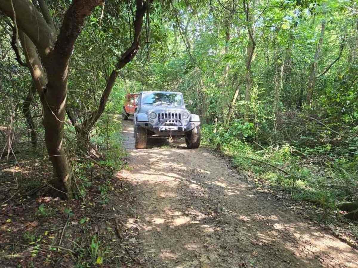 Trail 6 photo 2
