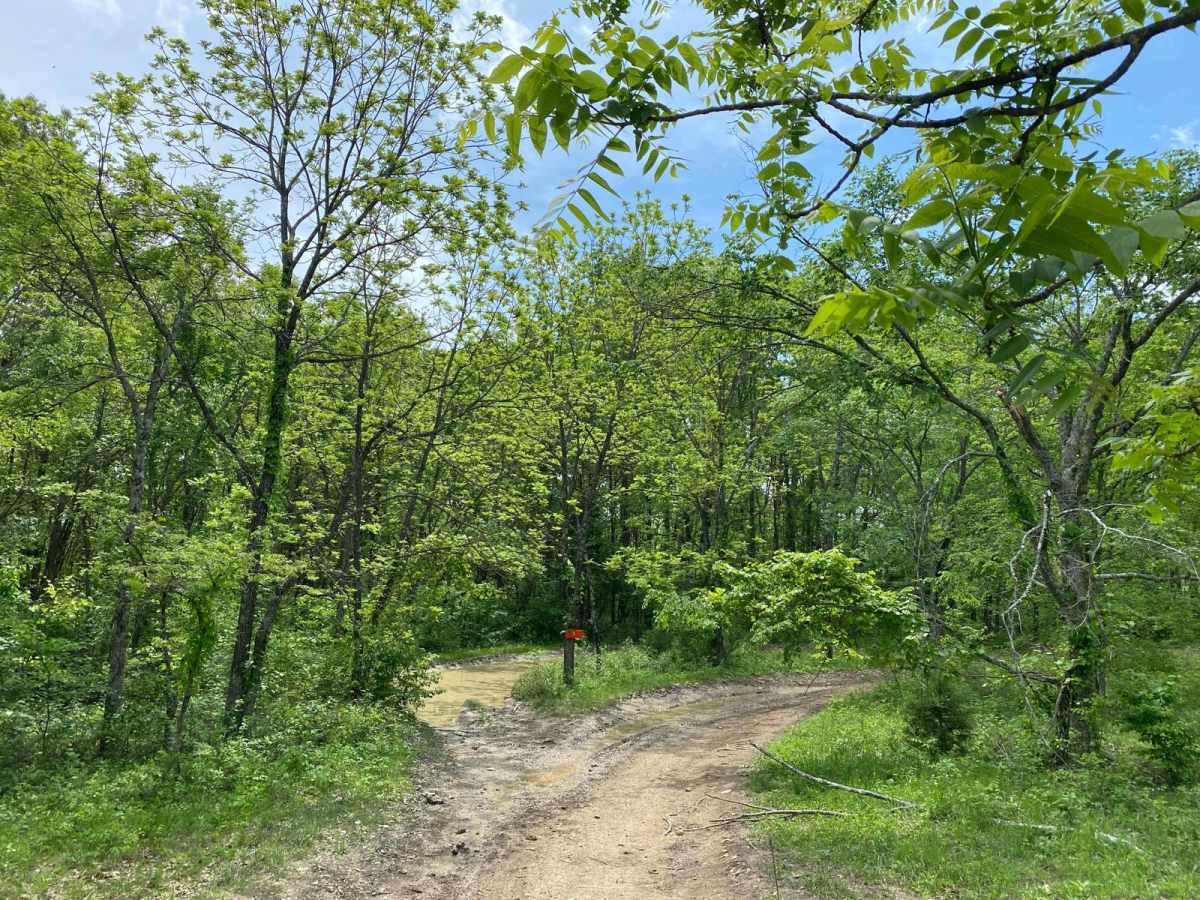 Ridgeline Road photo 5