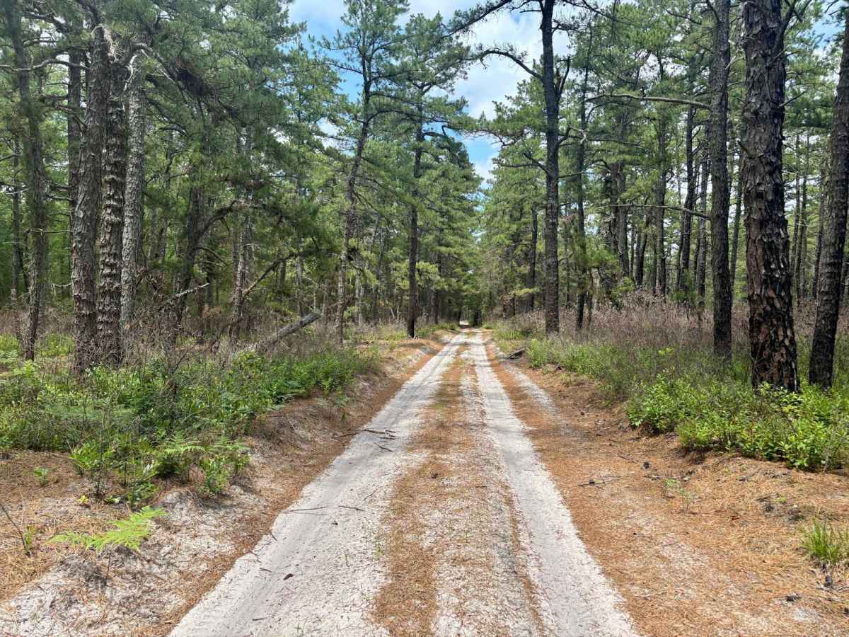 Eagle Road Bypass trail photo