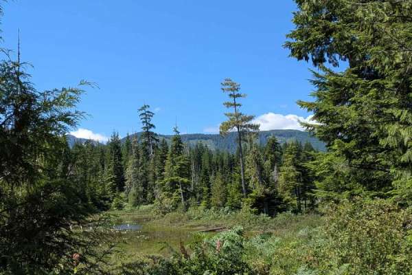Rona Cutoff Road