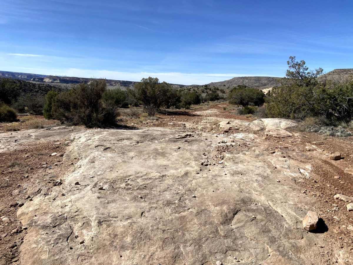 Trail 2 photo 5