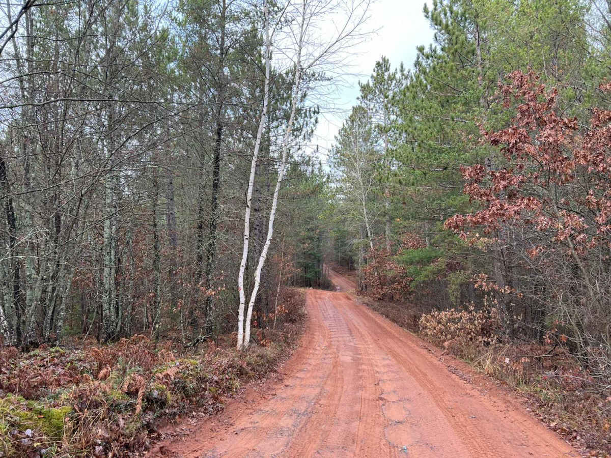 Florence County F15 North trail photo