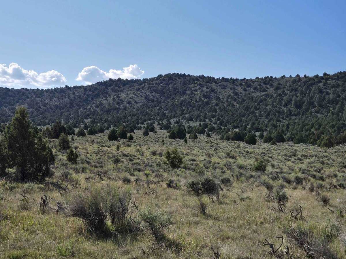 Gussie Draw Trail photo 2