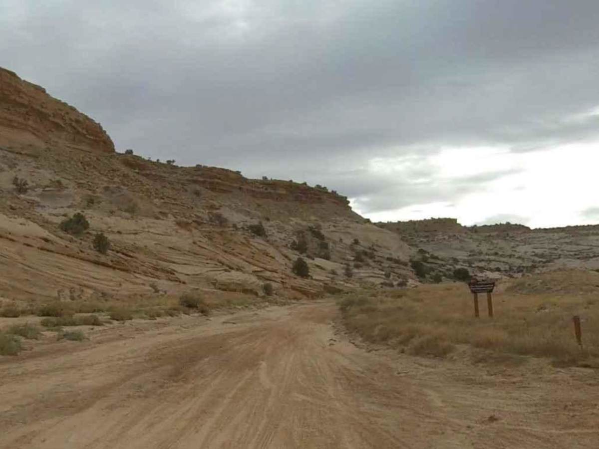 North Fork Coal-BLM638 photo 2