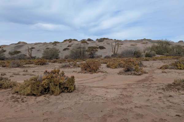 Dunas del Mogote West