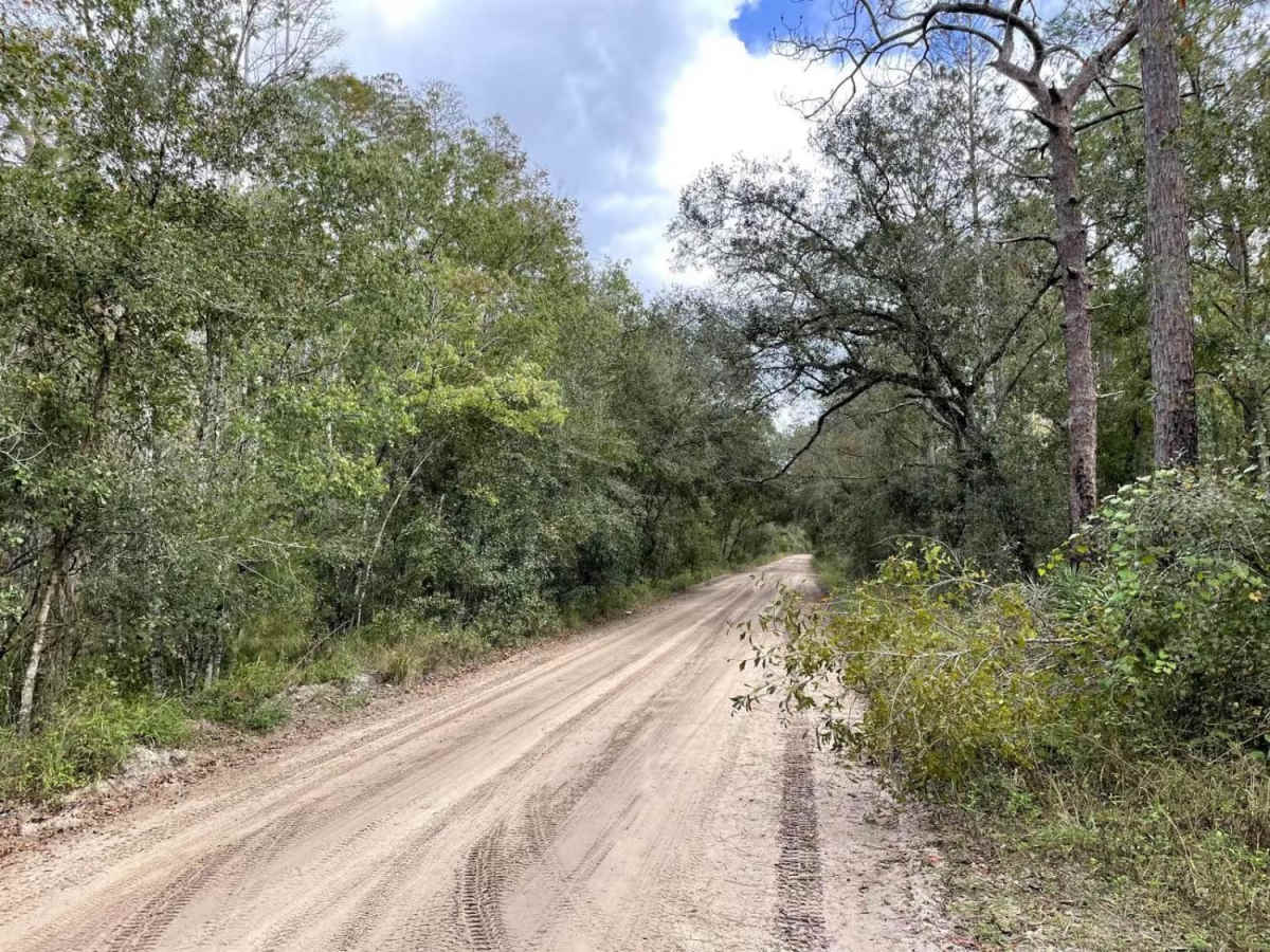 Richloam Wildlife Area: Center Grade Road photo 3