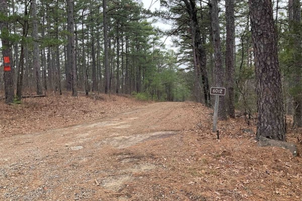 Goldville Trail
