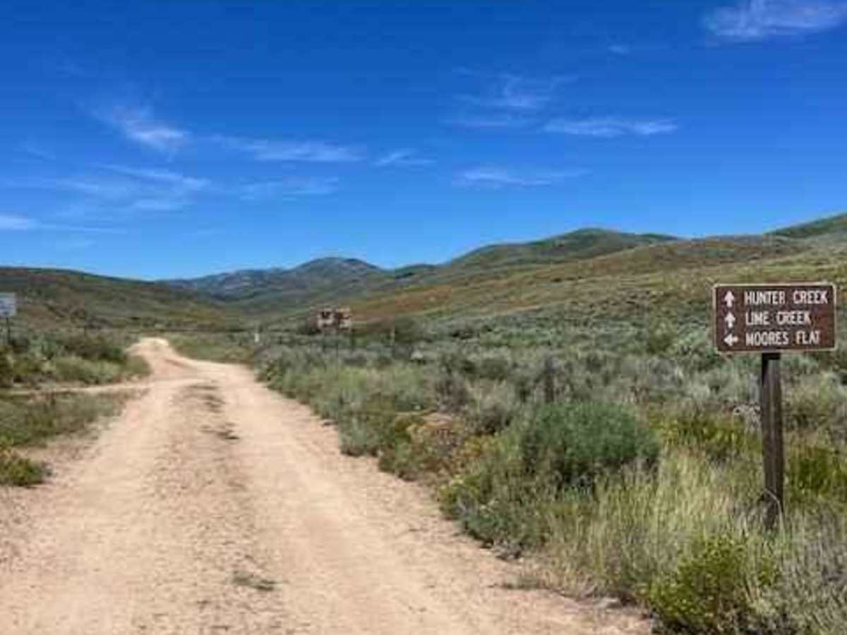 Lime Creek to Iron Mountain Lookout photo 2