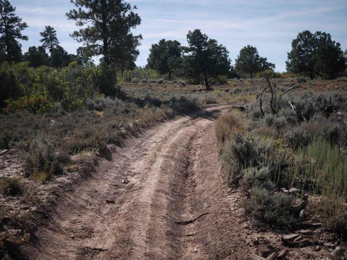 Ute Creek photo 3