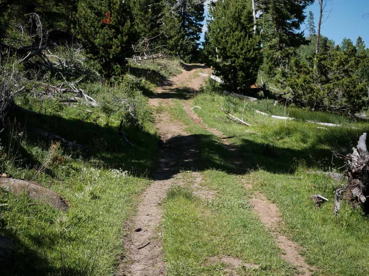 WP231 photo 6
