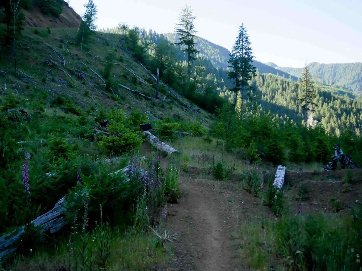 #108 trail photo