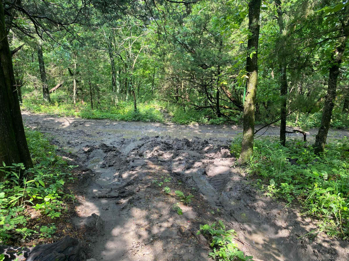 Spring Rattler trail photo