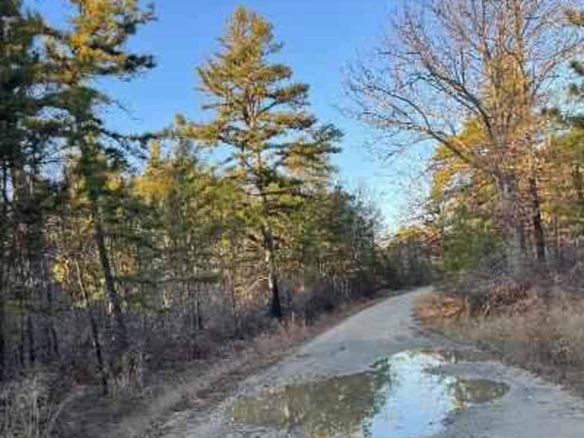 Make Peace Lake Road photo 5