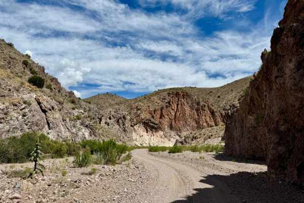 Madera Canyon