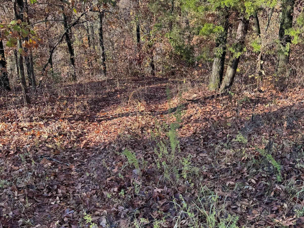 Green 108 photo 4