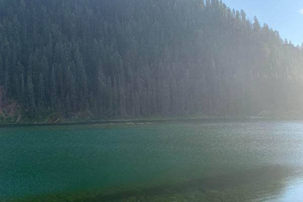 Cottonwood