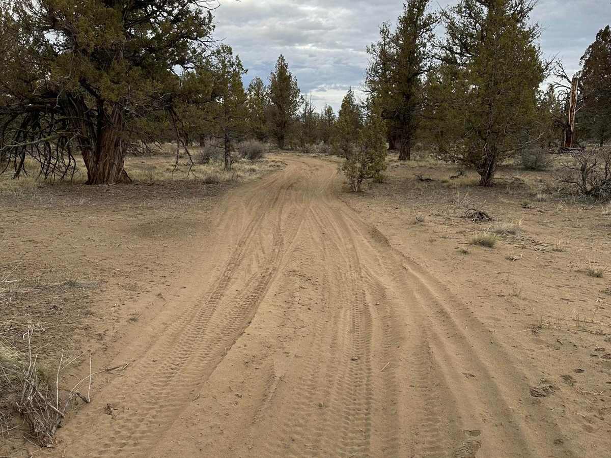 Buckhorn Loop photo 2