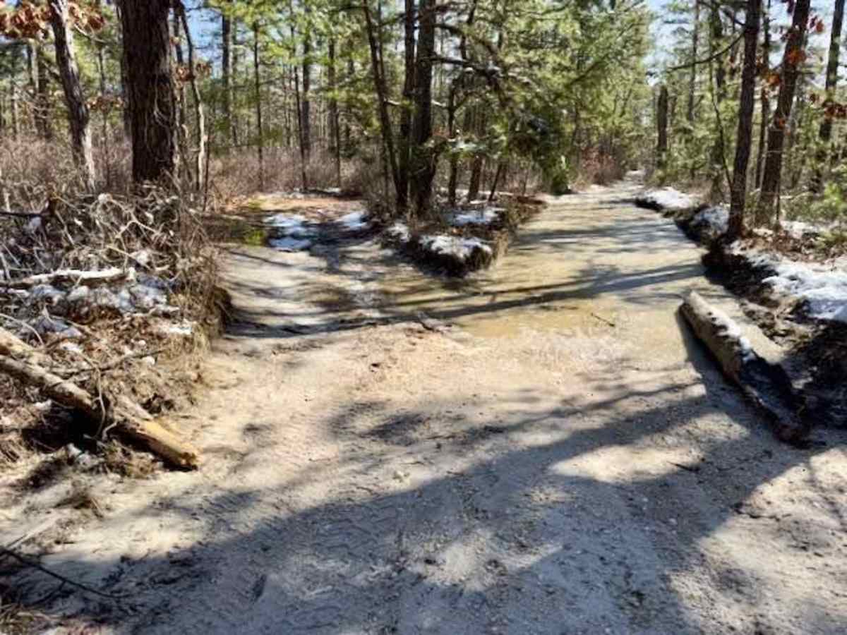 Quaker Bridge to Godfrey Bridge photo 2