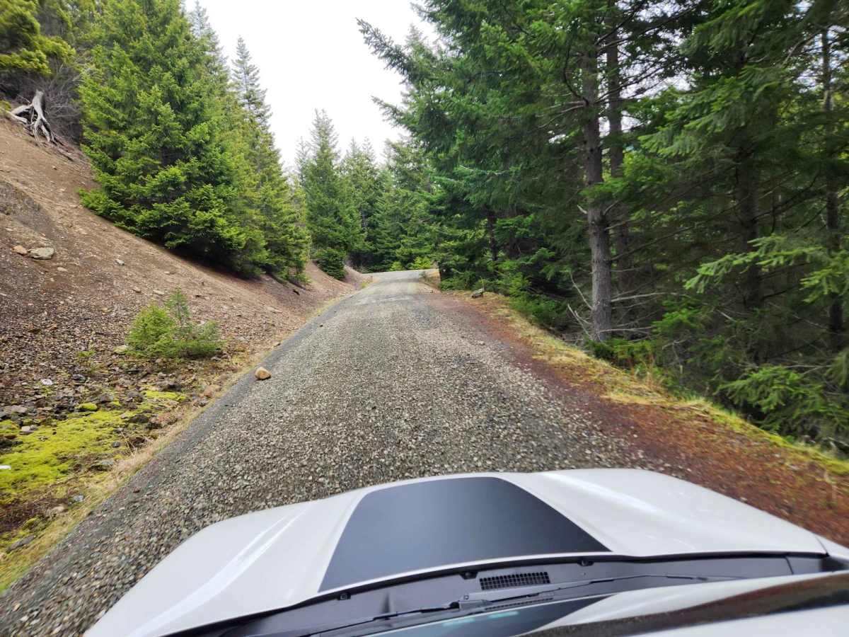 Dungeness Fork Run photo 5