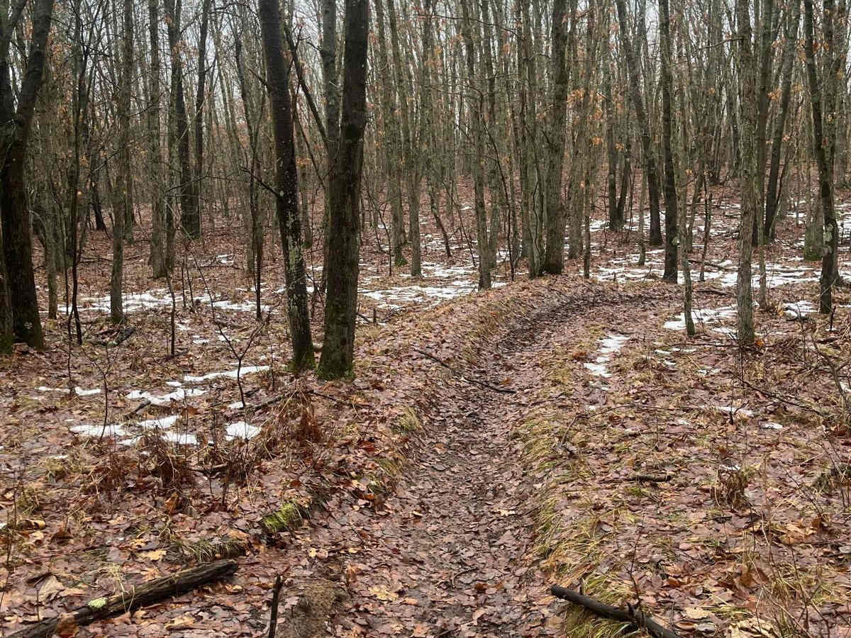 Horseshoe Motorcycle Trail Part 5 photo 4