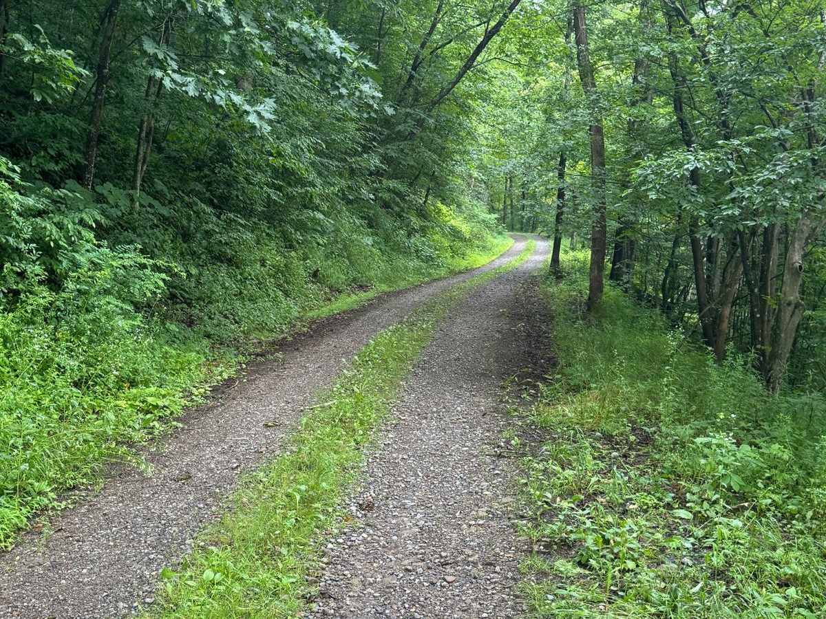 Fork Hill Road photo 3