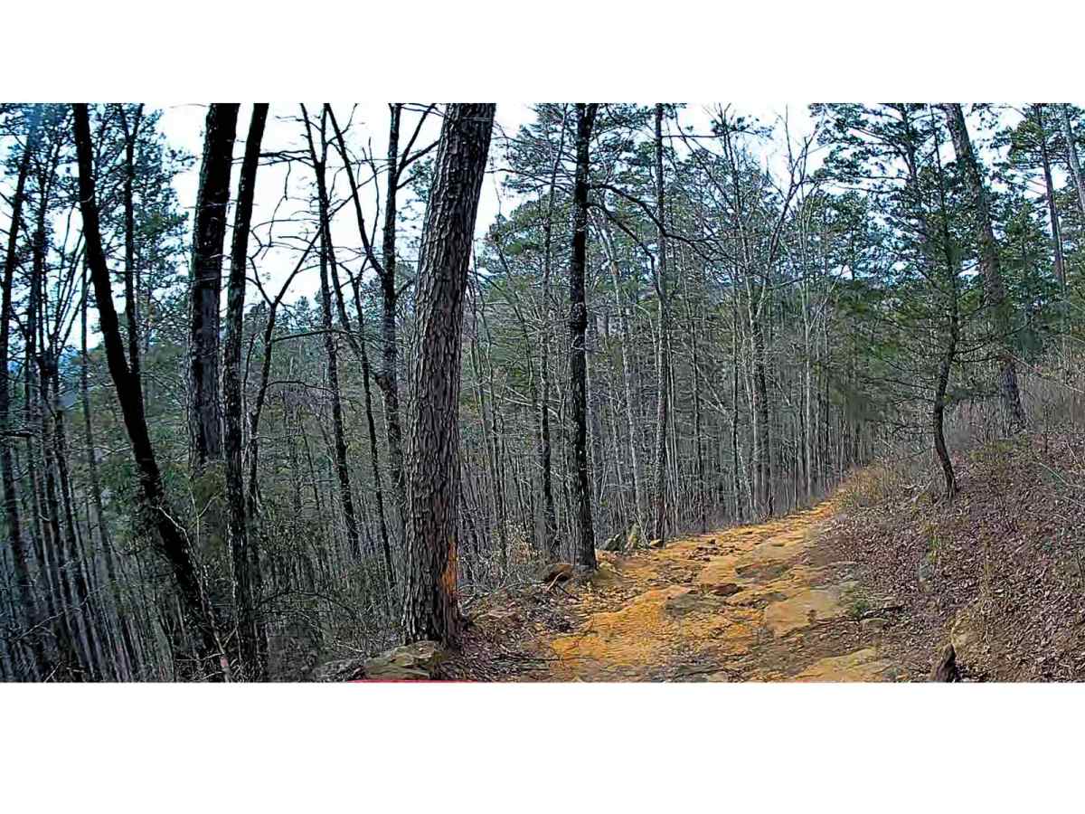 1424 Road photo 4