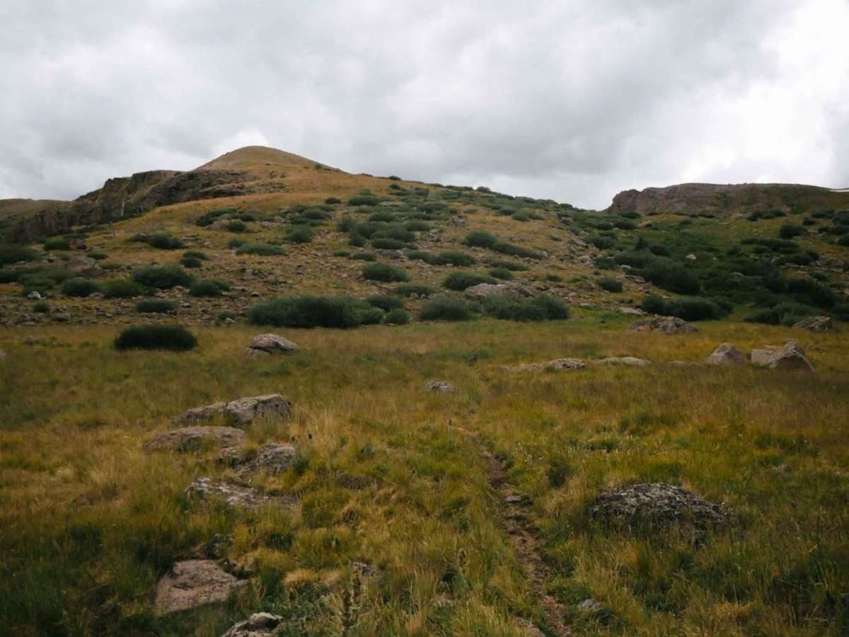La Garita Stock Driveway Trail photo 3