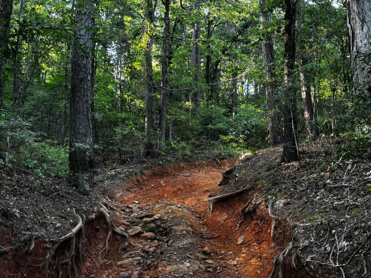 Spider Ravine photo 6