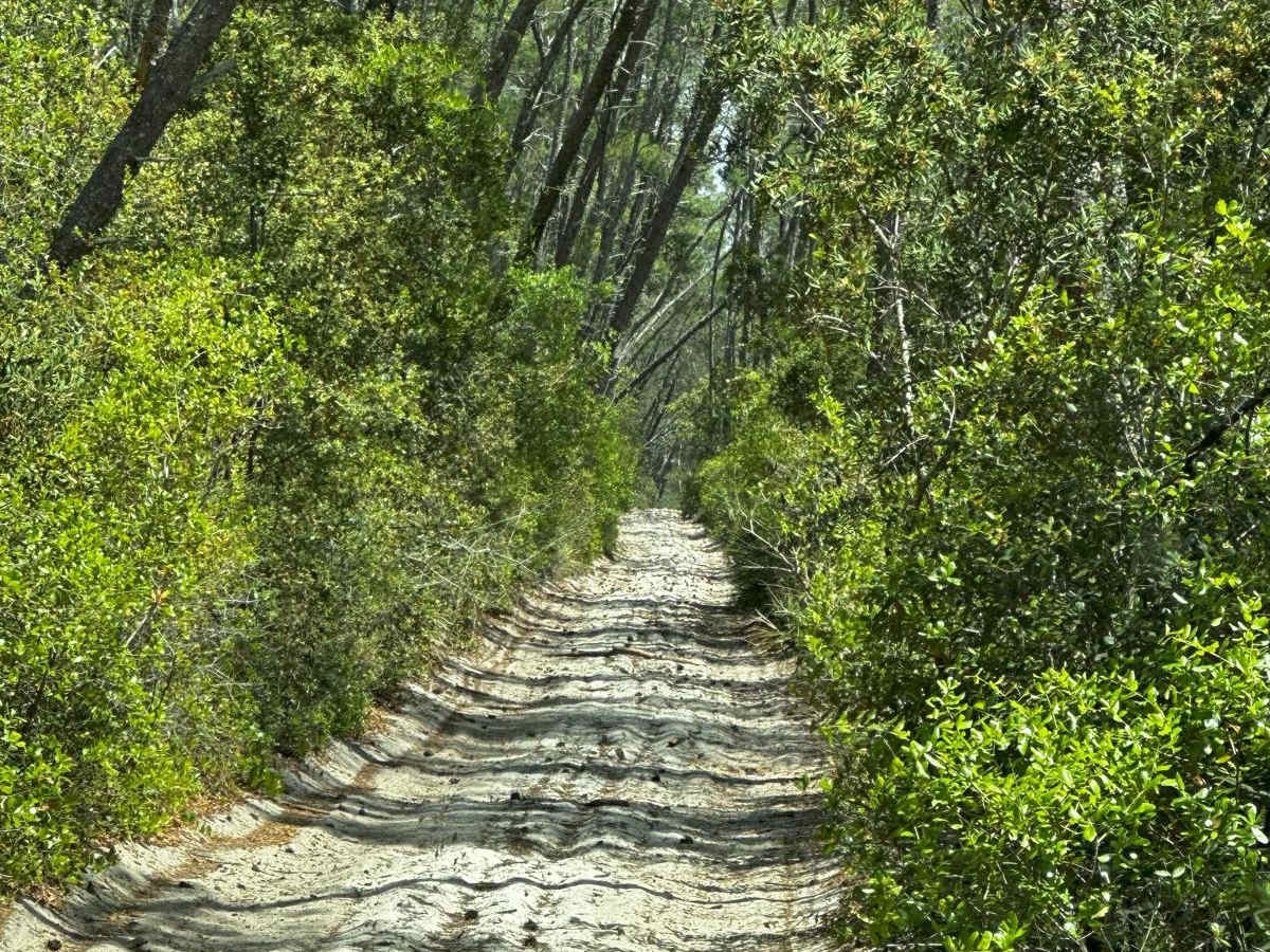 ONF Trail 5-9.0 photo 4