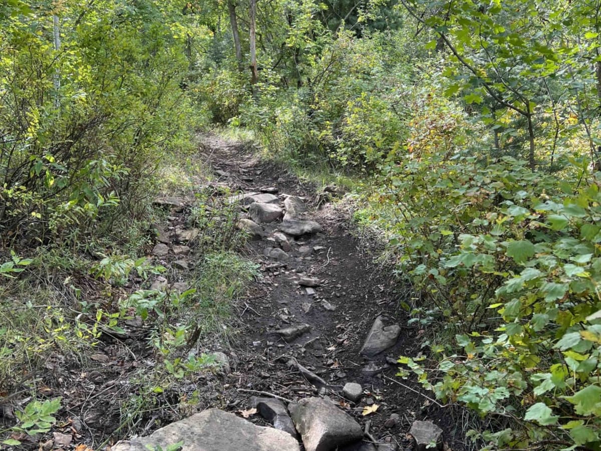 Right Fork Days Canyon (8004) photo 3