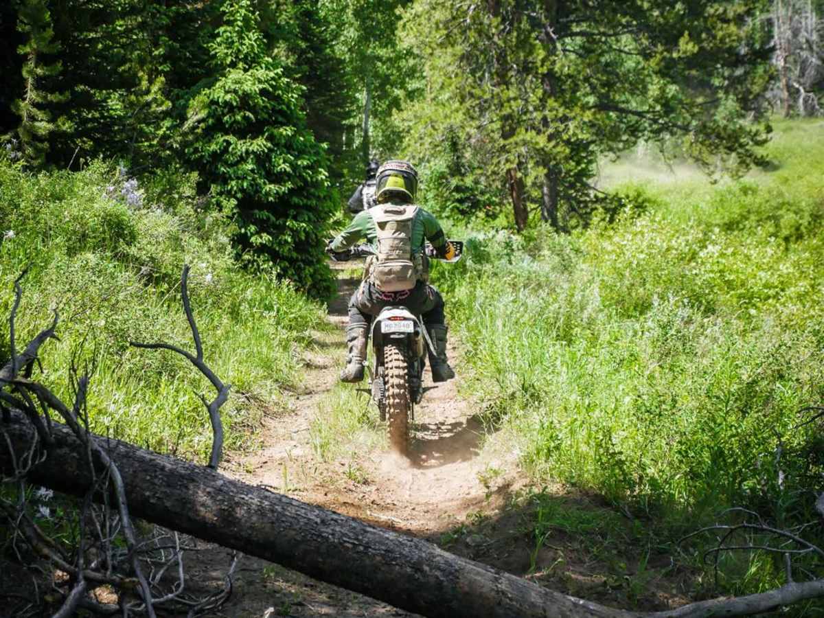 Nipple Peak ATV Trail photo 2