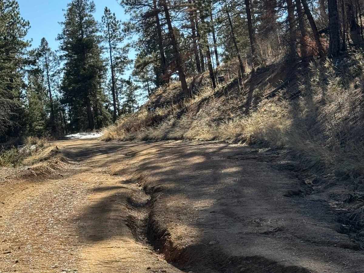 Ruidoso Ridge photo 5
