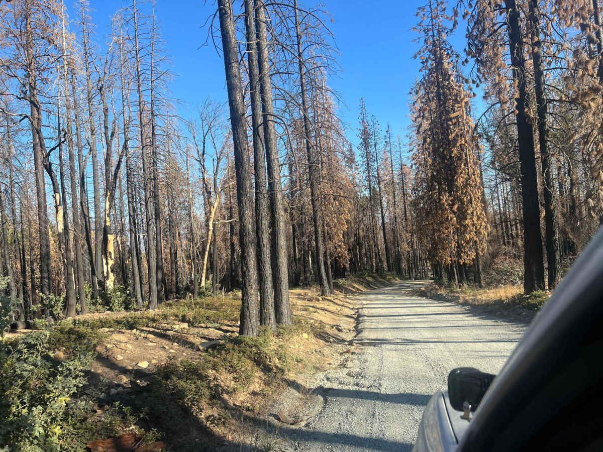 Last Chance to Lloyd Meadow trail photo