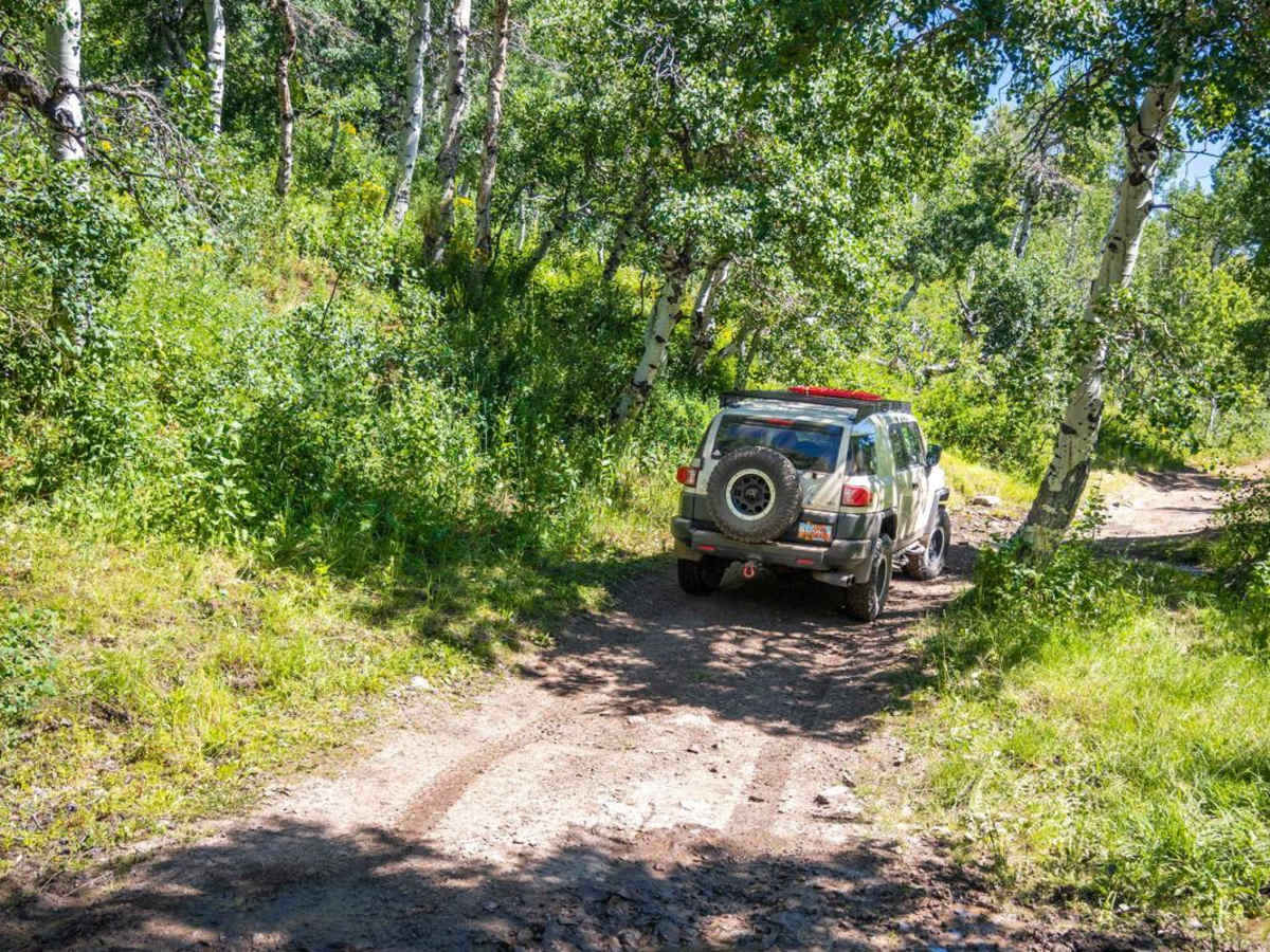 Wide Hollow trail photo