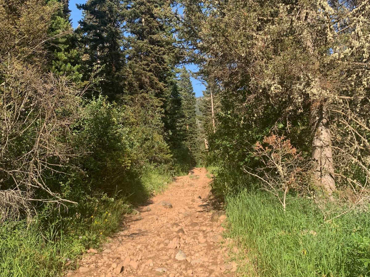 Dry Creek photo 5