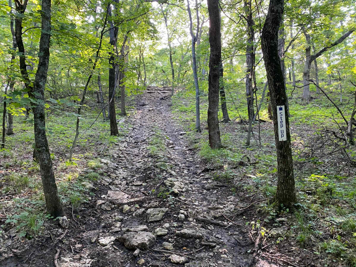 Step Up trail photo