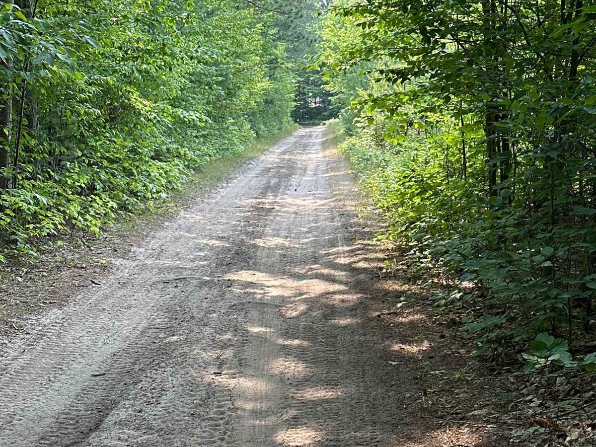 Lamb Road/Trail 39 photo 3