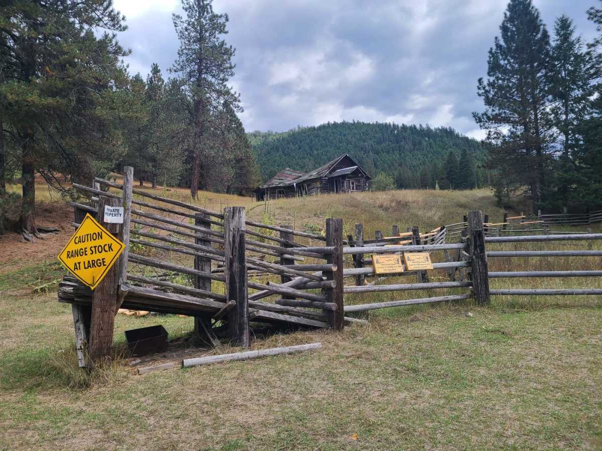 Tamarack Creek - FS 284 trail photo